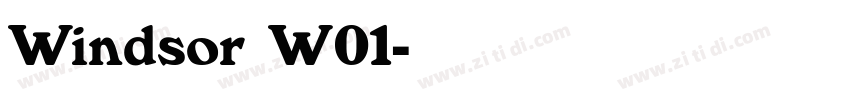Windsor W01字体转换